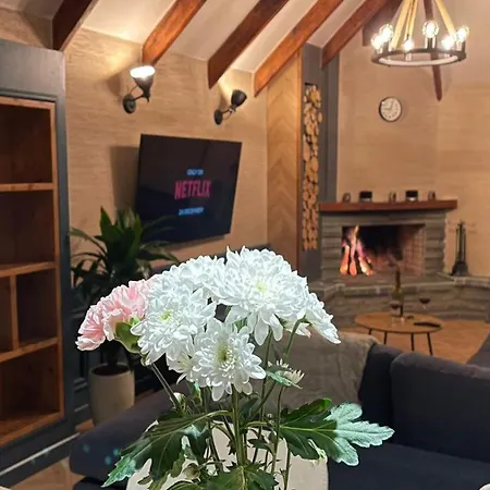 Heart Of Cozy Loft With Fireplace Тирана